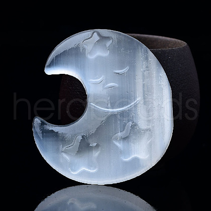 Crescent Moon with Star Natural Selenite Figurines DJEW-PW0021-06-1