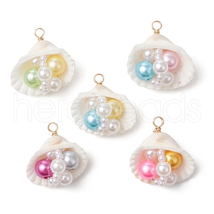 Natural Clam Shell Pendants PALLOY-JF03551-1