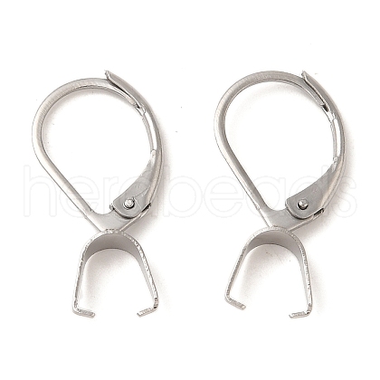 304 Stainless Steel Leverback Earring Findings STAS-U025-01P-01-1