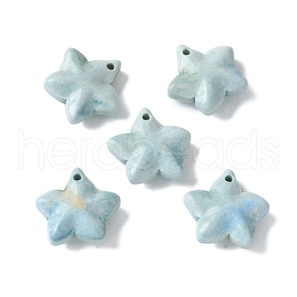 Natural Rainbow Alashan Agate Charms G-G194-02A-1