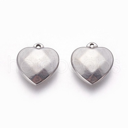 Tarnish Resistant 304 Stainless Steel Pendants STAS-P231-16P-1