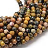 Natural Ocean Jasper Beads Strands G-P075-55-6mm-1