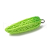 Resin Iron Pendants RESI-D280-10-2