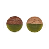 Opaque Resin & Walnut Wood Stud Earrings EJEW-N017-008-B08-4