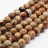 Natural Picture Jasper Beads Strands G-D840-47-8mm-1