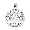 Non-Tarnish 201 Stainless Steel Pendants STAS-U003-21C-P-1