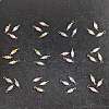 12Pcs 12 Colors Frosted Flower Natural Cultured Freshwater Pearl & Acrylic Connector Charms PALLOY-JF03590-2