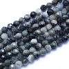 Natural Hawk's Eye Beads Strands G-I279-E14-03-1