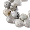 Natural Labradorite Beads Strands G-P570-E18-02-4