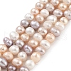 Natural Cultured Freshwater Pearl Beads Strands PEAR-C003-13E-2