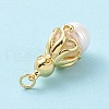 Shell Pearl Pendants KK-C004-10G-4