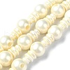 Shell Pearl 3-Hole Guru Beads Strands G-K149-53A-1