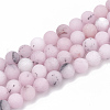 Natural Plum Blossom Jasper Beads Strands G-T106-275-1