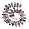 Natural Amethyst Double Terminated Point Beads Strands G-H069-B16-01-3