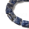 Natural Blue Spot Jasper Beads Strands G-L596-A07-01-4
