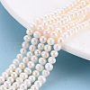Natural Cultured Freshwater Pearl Beads Strands PEAR-N010-02B-01-1