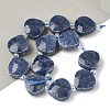 Natural Sodalite Beads Strands G-D316-A02-1