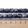 Natural Sodalite Beads Strands G-R015-A03-5