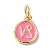 Real 18K Gold Plated Brass Enamel Charms KK-L216-001G-G04-1