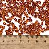 Spray Painted Glass Seed Beads SEED-F005-05A-01-4