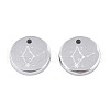 Non-Tarnish 316 Surgical Stainless Steel Charms STAS-S116-418D-P-2