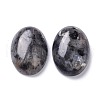 Natural Black Larvikite Cabochons G-Z020-10-2