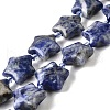 Natural Sodalite Beads Strands G-U023-C01-04-2