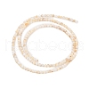 Natural Freshwater Shell Beads Strands SHEL-T011-02-4mm-2