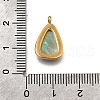 Natural Black Lip Shell Pendants STAS-F318-15G-3