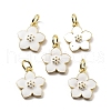 Brass Enamel Charms KK-Z114-23G-02-1