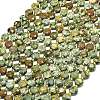Natural Rhyolite Jasper Beads Strands G-C116-A74-02-2