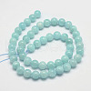 Natural Amazonite Bead Strands G-P204-02-8mm-2