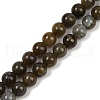 Natural Labradorite Beads Strands G-I253-01-8mm-2