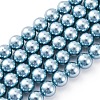 Shell Pearl Beads Strands BSHE-K015-8mm-02-1