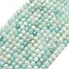 Natural Flower Amazonite Beads Strands G-A260-A51-01-2