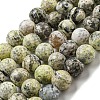 Faceted Natural Fire Crackle Agate Beads Strands G-F447-12mm-J01-2