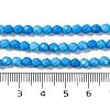 Natural Howlite Beads Strands G-C025-02C-10-5