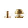 Flat Head Brass Retro Rivet Buckle PW-WG6BC40-05-1
