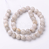 Faceted Natural Agate Round Bead Strands G-L383-11-10mm-2