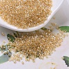 MIYUKI Delica Beads SEED-X0054-DB0099-4