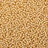 TOHO Round Seed Beads SEED-XTR08-0923-2