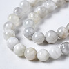 Natural White Moonstone Beads Strands G-N328-51A-01-4