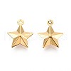 201 Stainless Steel Charms STAS-N109-228G-1