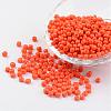 6/0 Baking Paint Glass Seed Beads X-SEED-S003-K4-1