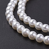 Shell Pearl Bead Strands BSHE-P023-3mm-3