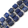 Natural Lapis Lazuli Beads Strands G-Z087-D01-2