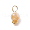 Natural Freshwater Shell Charms PALLOY-JF01657-2