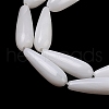 Natural Freshwater Shell Beads Strands SHEL-A004-03A-3