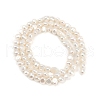 Natural Cultured Freshwater Pearl Beads Strands PEAR-P064-19C-12A-3