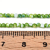 Dyed Natural Trochid Shell/Trochus Shell Beads Strands SSHEL-T017-13C-4